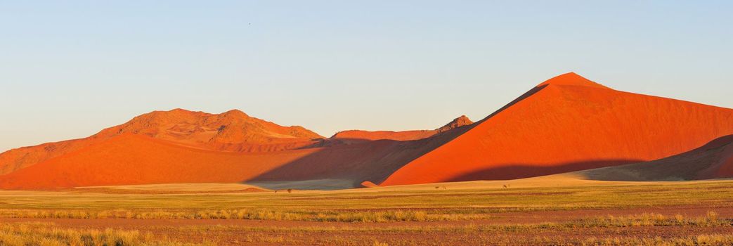 Panorama from three photos of dunes in the Namib near Sossusvlei, Namibia