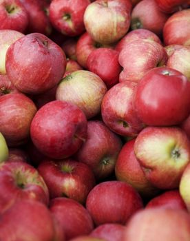 Full Frame of Red Apples