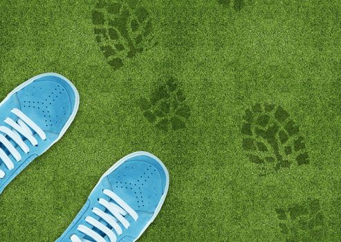 Blue Shoe print on green grassland.