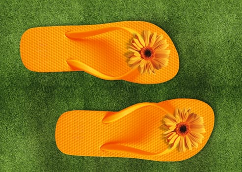 Colorful Flip Flops on green grass, summer back