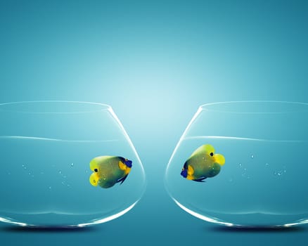 Two Angelfish in Two bowls, Concept for missing, Divorce and Incapacity