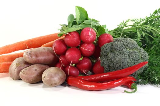 different types of vegetables on a white background