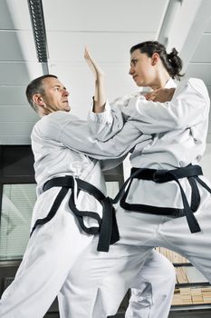 An image of two martial arts fighters