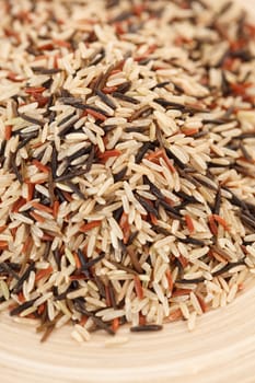 variety of rice