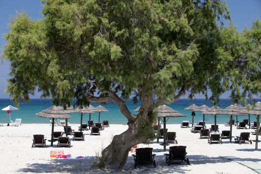 Mastichari beach on Kos Island, Dodecanese
