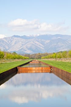 Italy - Water pool in green field with Alps mountains on background