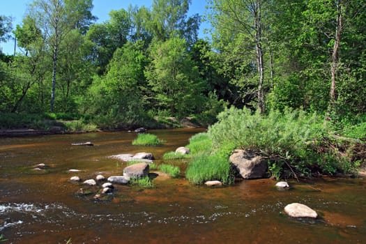 mountain river amongst green tree