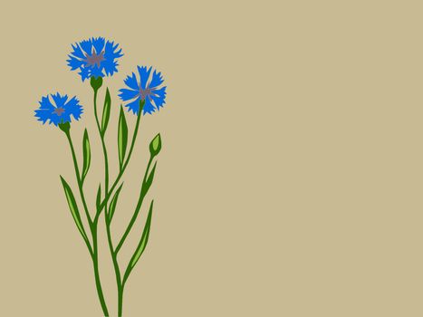 cornflower silhouette on brown background