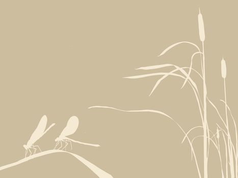 two dragonflies on brown background