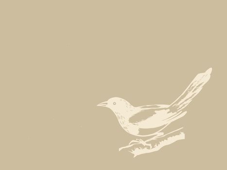 bird on brown background