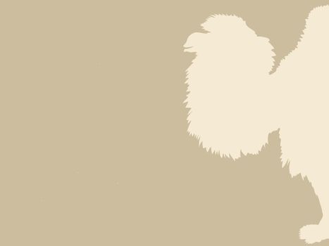 camel silhouette on brown background