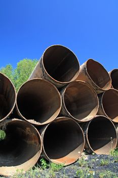 old gas pipes amongst herbs