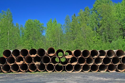 old gas pipes amongst herbs