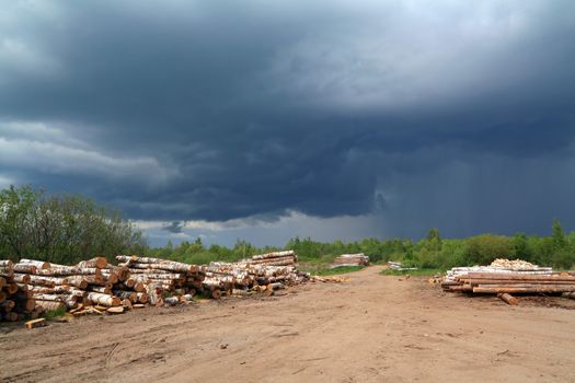 birch log on rural road under cloudy sky