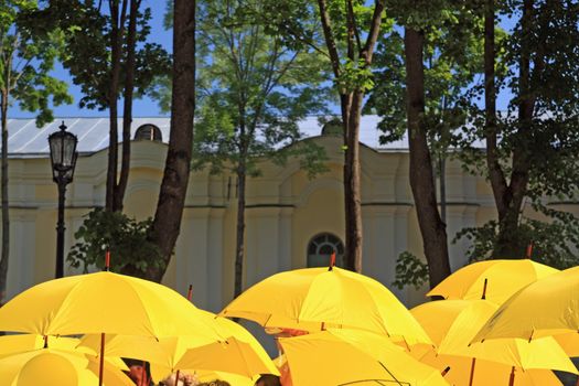 yellow umbrellas on town street
