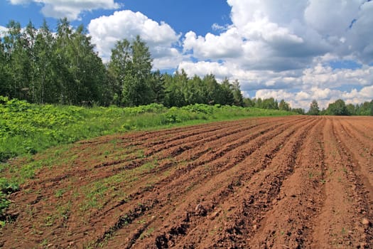 plow field