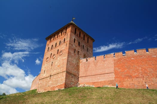 aging fortress amongst green herb