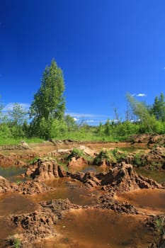 old sandy quarry in green wood