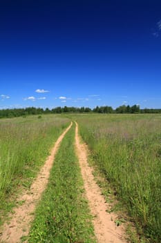 sandy road on summer field