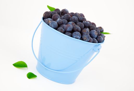 fresh blueberry in a blue mug with leaves, over a white background.