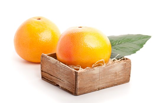 grapefruit on white background