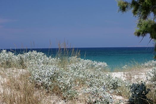 Mastichari beach on Kos Island, Dodecanese
