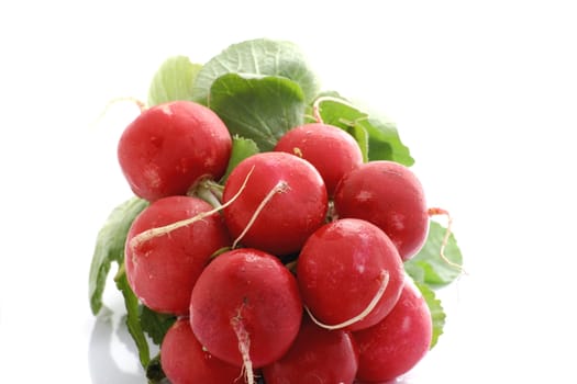 handful of red radishes and green leafs