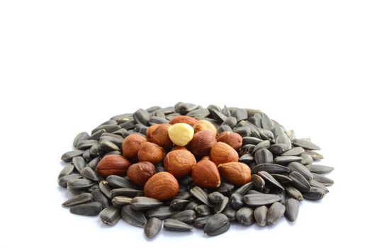 hazelnuts on top of black sunflower seeds 