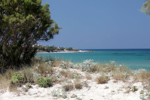 Mastichari beach on Kos Island, Dodecanese
