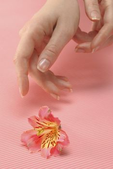 Closeup image of beautiful woman hand and flower