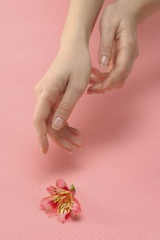Closeup image of beautiful woman hand and flower