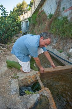 Agricultural worker directing water towards