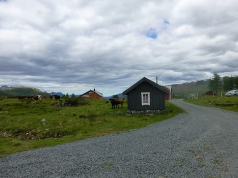Grytaseter mountain pasture in western Norway