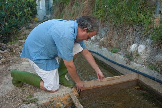 Farmer at a traditional irrigation ditch redirecting water