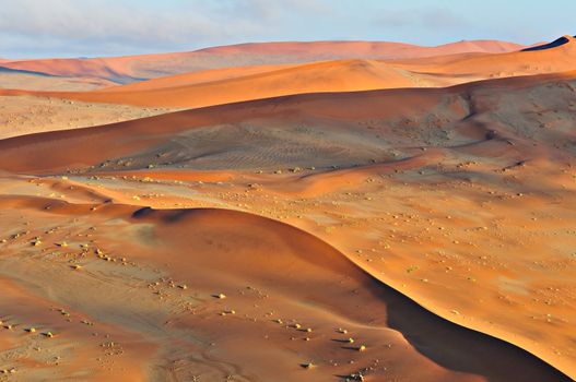 Patterns in the sand of the Namib desert at Sossusvlei, Namibia