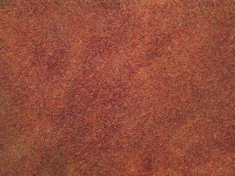 Grunge texture as abstract background.