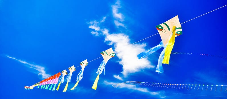 colorful of kites in the blue sky