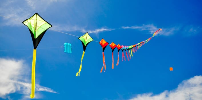 colorful of kites in the blue sky