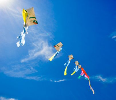 colorful of kites in the blue sky
