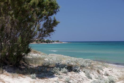 Mastichari beach on Kos Island, Dodecanese
