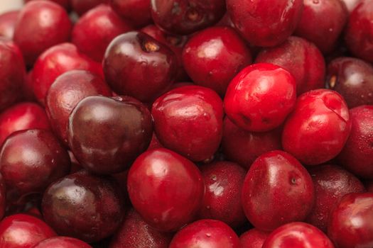 Ripe Cherries, closeup