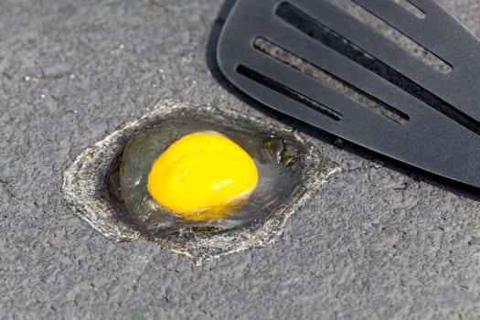 Breaking egg onto hot road surface to see if it fries in summer
