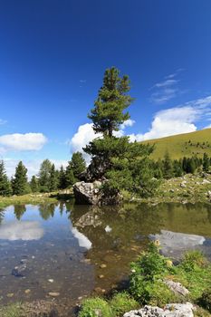 small lake with a fir on a rock over the water in high Gardena valley, Alto Adige, Italy