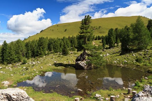 small lake with a fir on a rock over the water in high Gardena valley, Alto Adige, Italy
