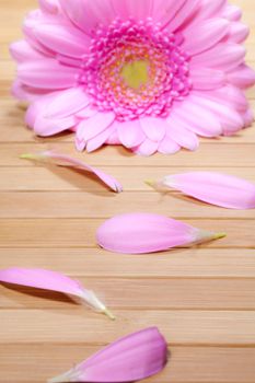 beauty concept with wood background and gerbera