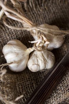 Vintage still life with garlic and knife on canvas. Shallow DOF