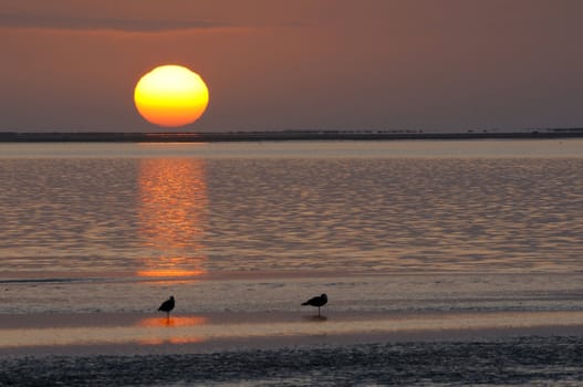 Sunset at the lagoon, Walvisbaai, Namibia