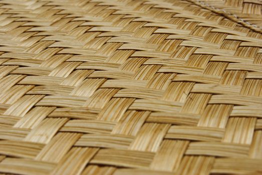 bamboo background