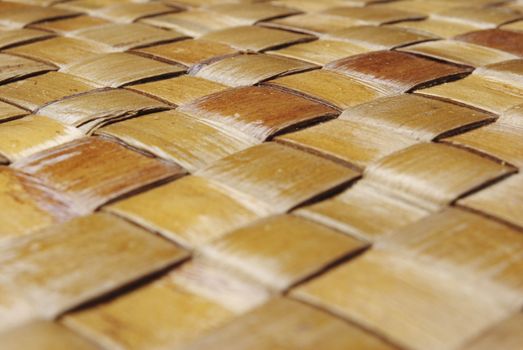 bamboo background
