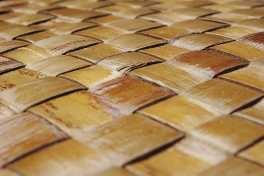bamboo background
